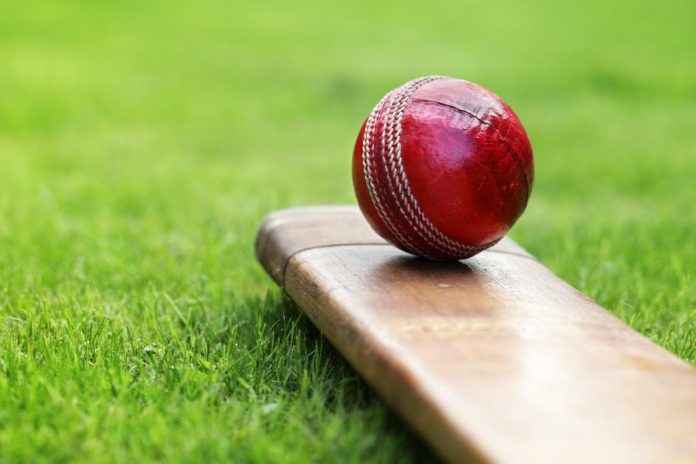 चंपावत जिला सीनियर क्रिकेट लीग का अगाज कल से, कार्यक्रम घोषित देखें